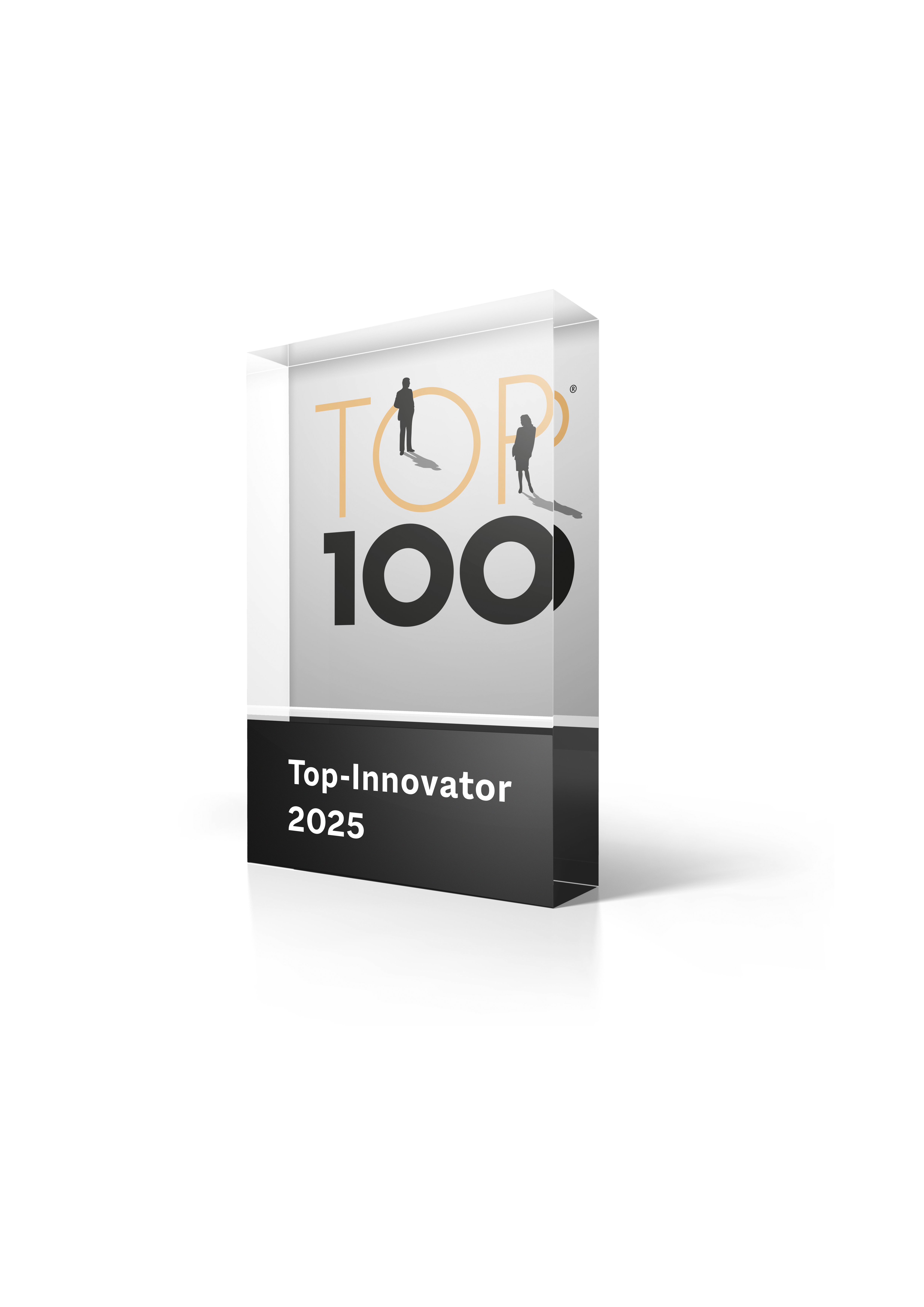 TOP-100-Trophäe für CurveDesign, Ansicht von rechts